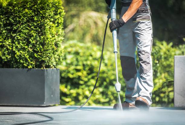 Best Gutter Cleaning  in Daleville, IN