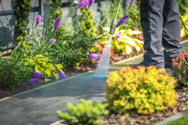 Best Parking Lot and Garage Cleaning  in Daleville, IN