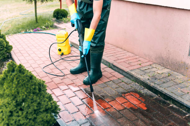 Best Oil Spill Cleanup  in Daleville, IN